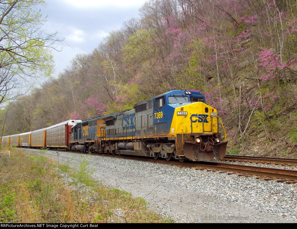CSX 7369 and 8365
